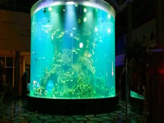 Chiny niestandardowe tanie super duże okrągłe szklane akwaria pmma jasne akwarium akrylowe akwaria