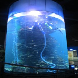 przezroczysty cylinder akrylowy duży zbiornik na ryby do akwariów lub parku oceanicznego