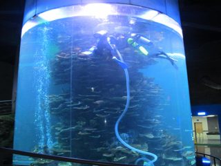 przezroczysty cylinder akrylowy duży zbiornik na ryby do akwariów lub parku oceanicznego