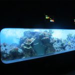 Sztuczne akrylowe cylindryczne przezroczyste akwarium rybne / okno widokowe