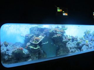 Sztuczne akrylowe cylindryczne przezroczyste akwarium rybne / okno widokowe