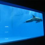 wysokiej jakości Duże akrylowe akwarium / basen okno podwodne grube okna