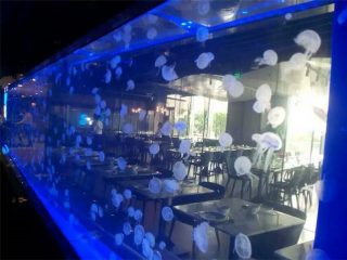 Arkusz akrylowy Zbiornik meduzy