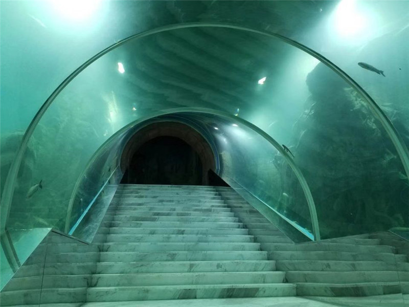 Cena projektu akwarium z tunelem akrylowym