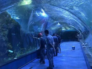 Projekt oceanarium tunelu akrylowego w akwariach publicznych