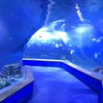 Wyczyść pmma akrylowy Duży tunel z tworzywa sztucznego w akwarium