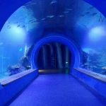 Wysoko przejrzyste duże akrylowe akwarium tunelowe o różnych kształtach