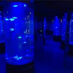 akrylowe meduzy szklane akwarium