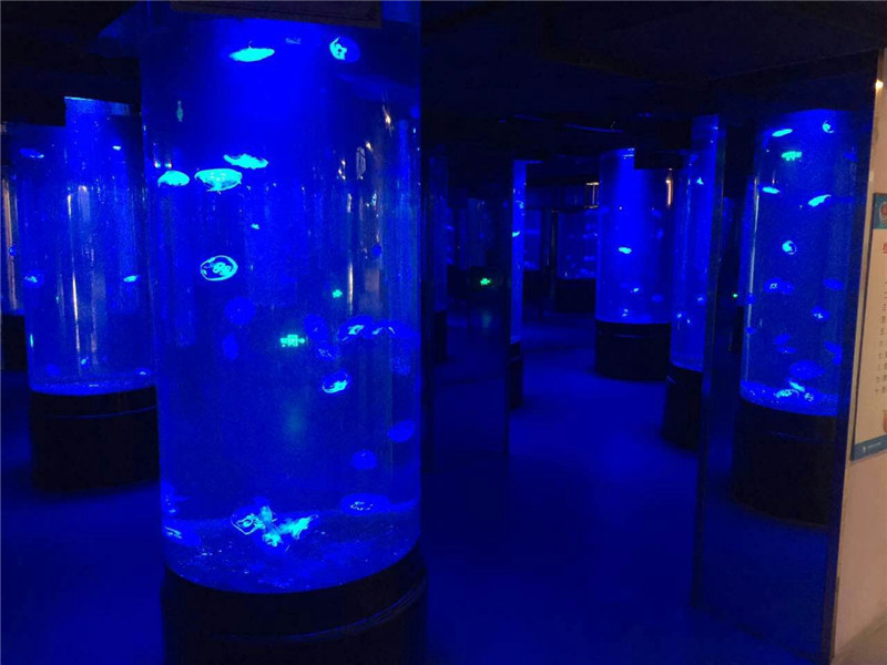 akrylowe meduzy szklane akwarium