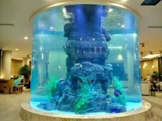 kryształowy akwarium