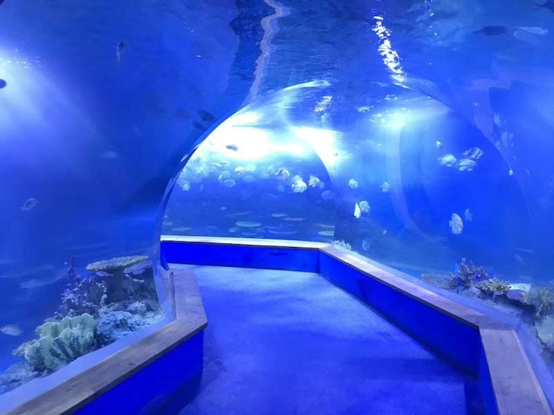 przezroczyste szkło akrylowe Tunelowe akwarium